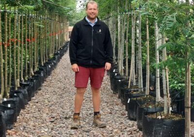 Tamar Nurseries | Trees