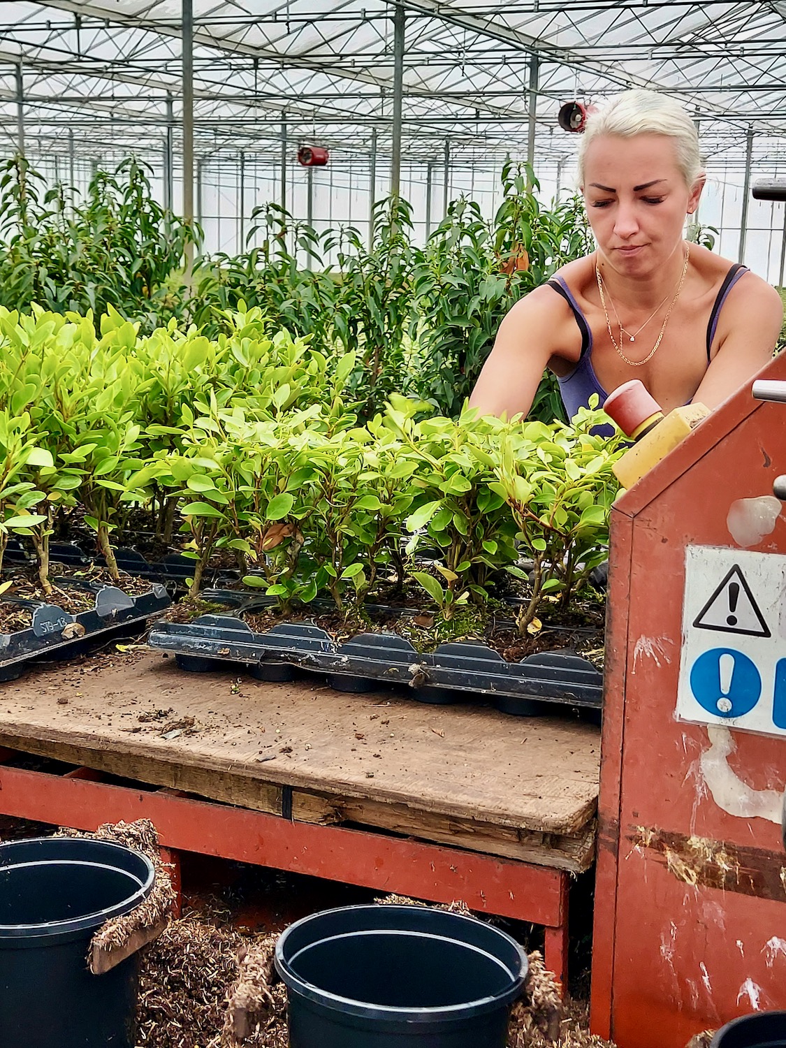 Tamar Nurseries | Propagation