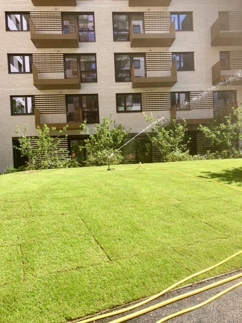 image008 (1)